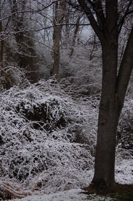 Welcome to Spring? - Spring - Day 1 Langhorne