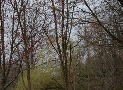 April Showers