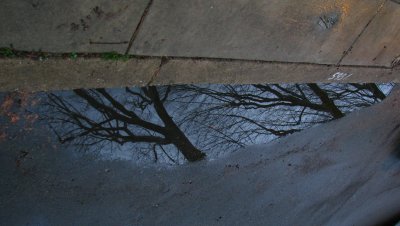April Showers
