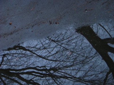 April Showers