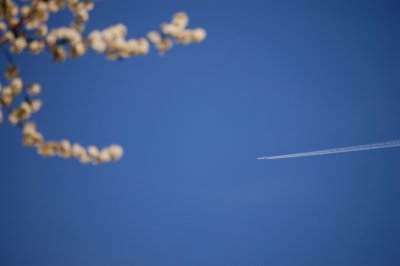 Spring Flying By