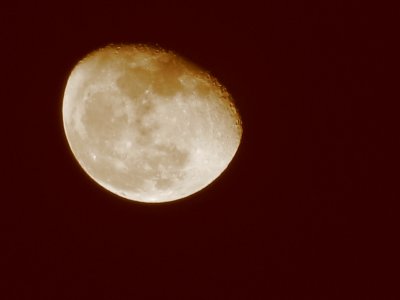 Sepiatone Moon