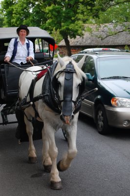 Horse Drawn Carriage - Main St New Hope