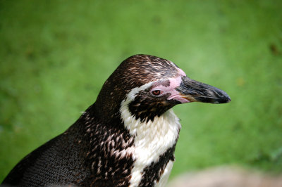 DSC_0096.JPG