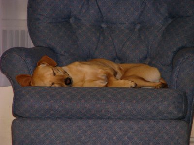 Nap Time