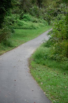 1st Day of Fall - Still pretty green