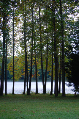 1st Day of Fall - Some color starting to show