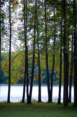 1st Day of Fall - Some color starting to show