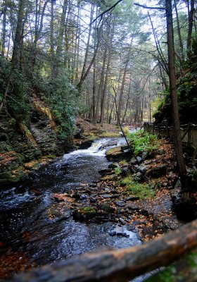 Lower Gorge