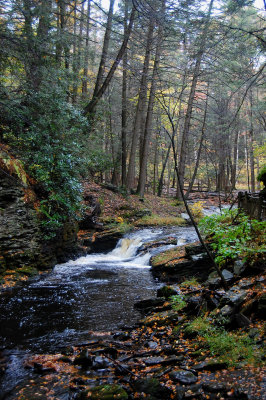 Lower Gorge