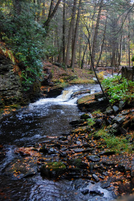 Lower Gorge