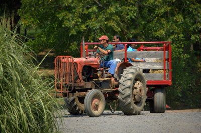 tractor ride - Styers Orchards