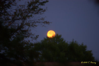 1st Fall Moonset