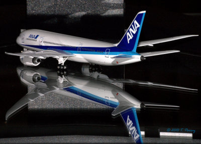 BOEING 787-8 Dreamliner / ANA (All Nippon Airways)