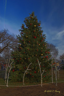 Peddler's Village court yard Christmas tree