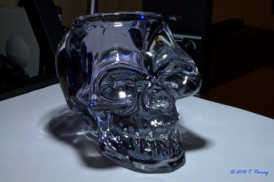 glass skull