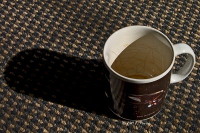 mug on a rug