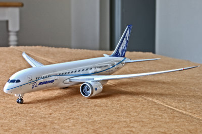 BOEING 787-8 (N787FT / ZA005) white house/test colors
