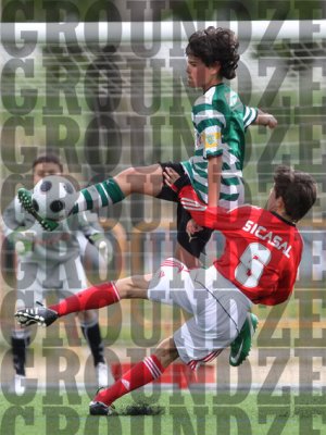 2J0D0043-copy.jpg