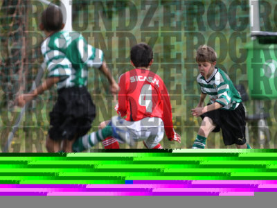 2J0D0079-copy.jpg