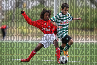 2J0D0142-copy.jpg