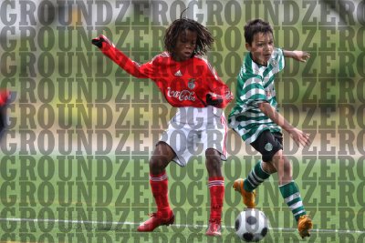 2J0D0143-copy.jpg