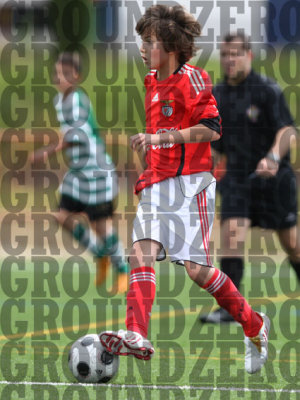 2J0D0221-copy.jpg