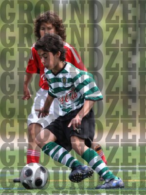 2J0D0469-copy.jpg