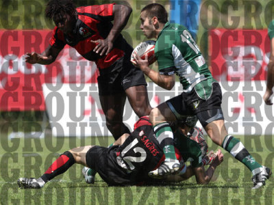 2J0D0060-copy.jpg