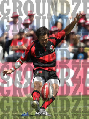 2J0D0078-copy.jpg