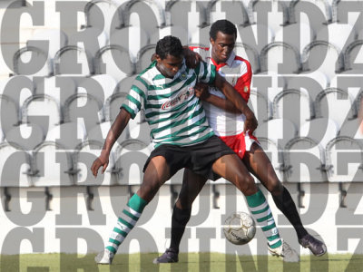 2J0D3277-copy.jpg