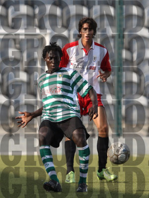 2J0D3372-copy.jpg