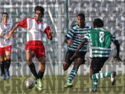 2J0D3463-copy.jpg