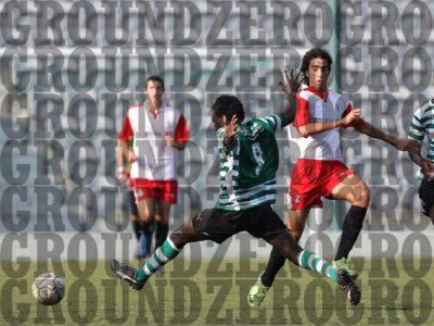 2J0D3466-copy.jpg