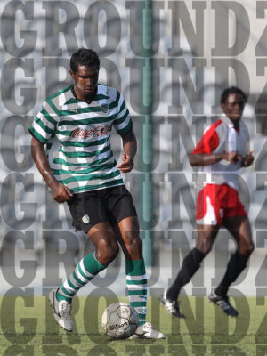 2J0D3481-copy.jpg