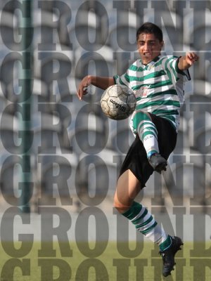 2J0D3533-copy.jpg