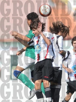 2J0D5985 copy.jpg