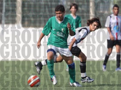 2J0D6116 copy.jpg