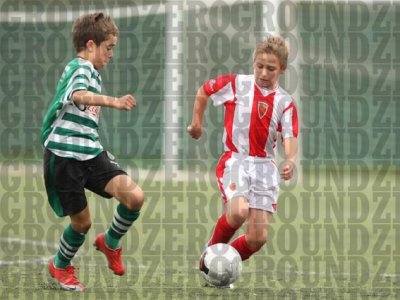 2J0D8772 copy.jpg