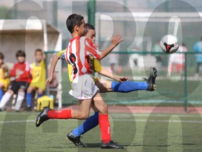 IMG_8114 copy.jpg
