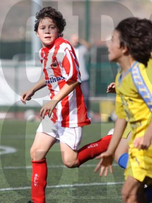 IMG_8118 copy.jpg