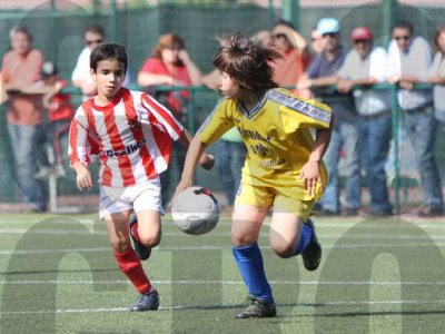 IMG_8131 copy.jpg