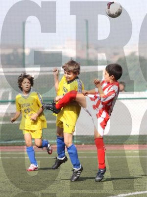 IMG_8156 copy.jpg