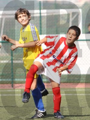 IMG_8157 copy.jpg