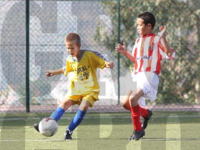 IMG_8171 copy.jpg