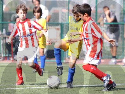 IMG_8173 copy.jpg