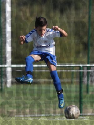 2J0D2384 copy.jpg