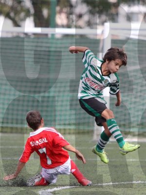 IMG_10106 copy.jpg