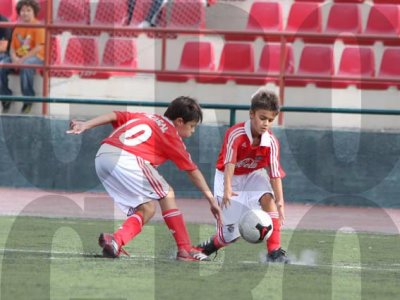 IMG_10122 copy.jpg