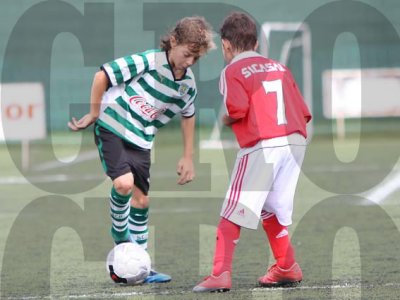 IMG_10168 copy.jpg
